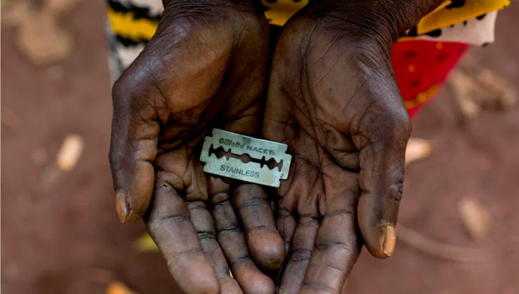 imagen de cosas y casos