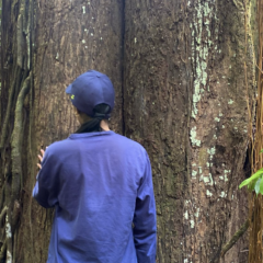 Un Viaje de Lucha y Esperanza como Migrante Nicaragüense en Costa Rica